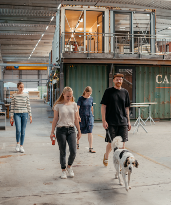 4 Personen und Hund laufen